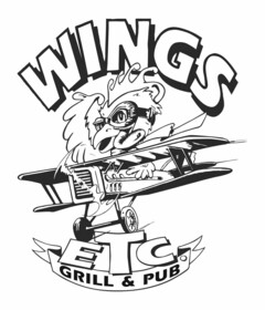 WINGS ETC. GRILL & PUB