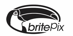 BRITEPIX