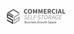 CSS COMMERCIAL SELF·STORAGE BUSINESS GROWTH SPACE
