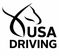 USA DRIVING