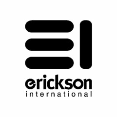 ERICKSON INTERNATIONAL