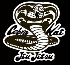 COBRA KAI JIU JITSU