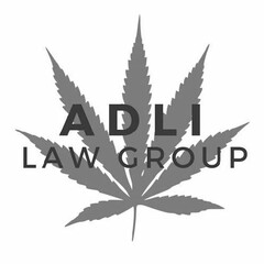 ADLI LAW GROUP