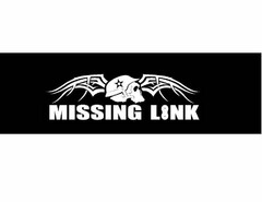 MISSING LINK