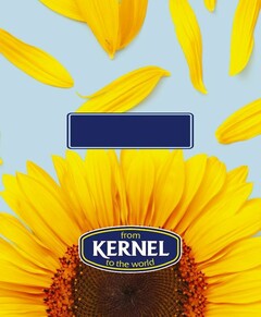 FROM KERNEL TO THE WORLD