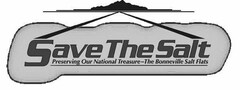 SAVE THE SALT PRESERVING OUR NATIONAL TREASURE-THE BONNEVILLE SALT FLATS