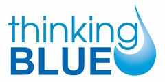 THINKING BLUE