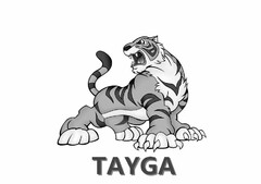 TAYGA