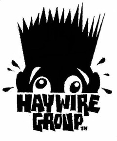 HAYWIRE GROUP