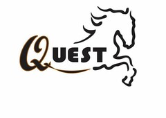 QUEST