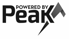 POWERED BY PEAK