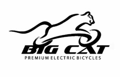 BIG CAT PREMIUM ELECTRIC BICYCLES