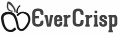 EVERCRISP