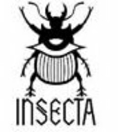 INSECTA