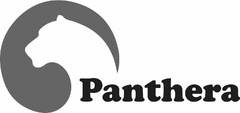 PANTHERA