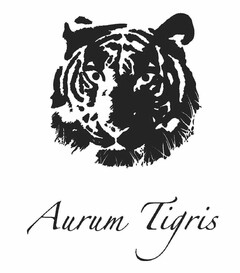 AURUM TIGRIS