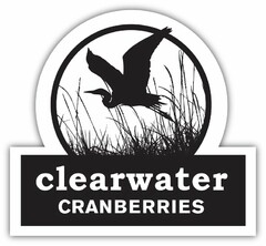 CLEARWATER CRANBERRIES