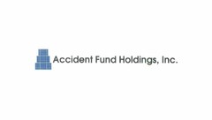 ACCIDENT FUND HOLDINGS, INC.