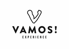 VAMOS! EXPERIENCE