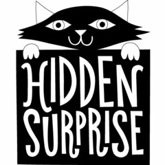 HIDDEN SURPRISE