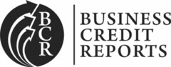 BCR BUSINESS CREDIT REPORTS