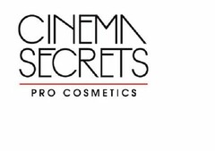 CINEMA SECRETS PRO COSMETICS