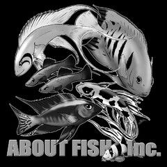 ABOUT FISH INC.