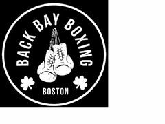 BACK BAY BOXING BOSTON WHO'S YOUR PADDY?