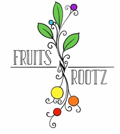 FRUITS N' ROOTZ