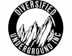 DIVERSIFIED UNDERGROUND INC