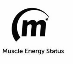 M MUSCLE ENERGY STATUS