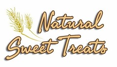 NATURAL SWEET TREATS