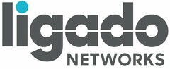 LIGADO NETWORKS