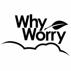 WHY WORRY