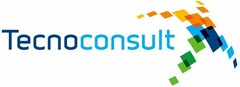 TECNOCONSULT X