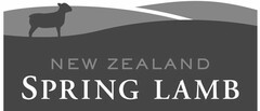 NEW ZEALAND SPRING LAMB