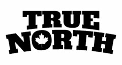 TRUE NORTH