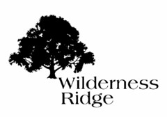 WILDERNESS RIDGE