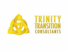 TRINITY TRANSITION CONSULTANTS