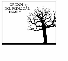 ORIGEN BY DEL PEDREGAL FAMILY