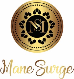MS MANE SURGE