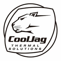 COOLJAG THERMAL SOLUTIONS