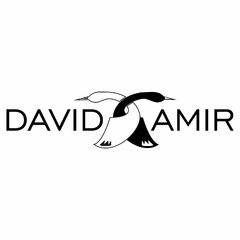 DAVID AMIR