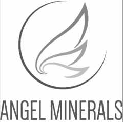 ANGEL MINERALS