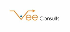 VEE CONSULTS