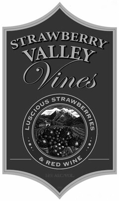 STRAWBERRY VALLEY VINES LUSCIOUS STRAWBERRIES & RED WINE 14% ALC./VOL