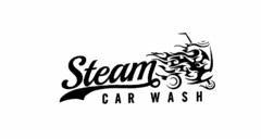 STEAM CAR WASH