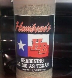 HAMBONE'S HB SEASONING AS BIG AS TEXAS