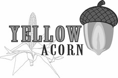 YELLOW ACORN