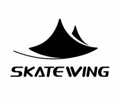 SKATEWING